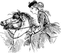 Hdc038f.JPG
