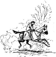 Hdc037f.JPG