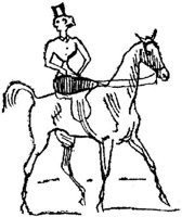 Hdc037c.JPG