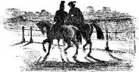 Hdc037b.JPG