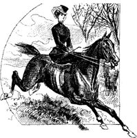 Hdc035g.JPG