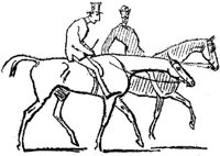 Hdc035d.JPG