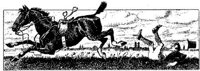 Hdc035a.JPG