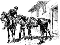 Hdc034c.JPG