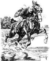 Hdc033g.JPG