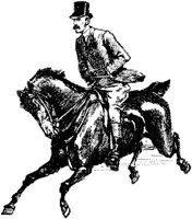 Hdc033c.JPG