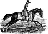 Hdc033b.JPG