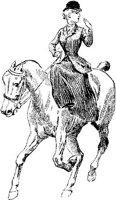 Hdc033a.JPG