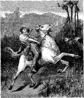 Hdc032c.JPG