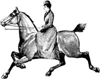 Hdc032a.JPG