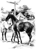Hdc030f.JPG