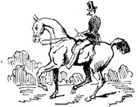 Hdc030d.JPG
