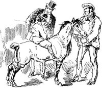 Hdc029f.JPG