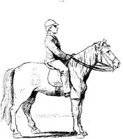 Hdc029e.JPG