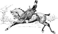 Hdc029c.JPG