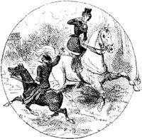 Hdc027b.JPG