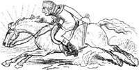 Hdc027a.JPG