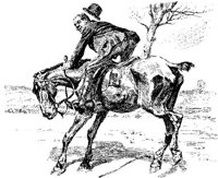 Hdc025b.JPG