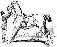 Hdc025a.JPG