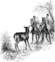 Hdc023f.JPG