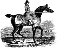 Hdc023e.JPG