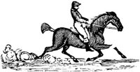 Hdc023d.JPG