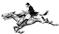 Hdc022c.JPG
