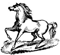 Hdc021f.JPG