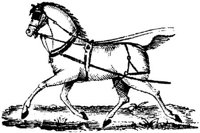 Hdc020c.JPG