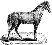 Hdc020b.JPG
