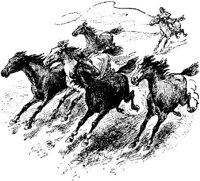 Hdc020a.JPG