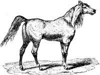 Hdc019i.JPG