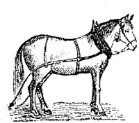 Hdc019h.JPG