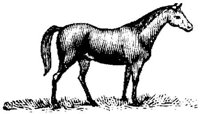 Hdc019g.JPG