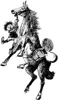 Hdc019d.JPG
