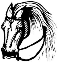 Hdc019c.JPG