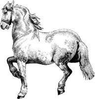 Hdc017h.JPG