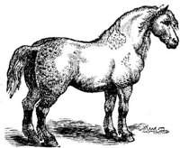 Hdc017g.JPG