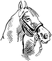 Hdc017e.JPG