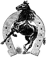 Hdc017c.JPG