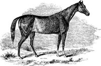 Hdc017a.JPG