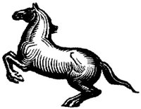 Hdc016i.JPG