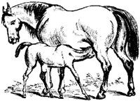Hdc016g.JPG