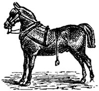 Hdc016c.JPG