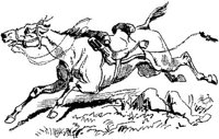 Hdc016b.JPG