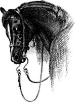 Hdc015g.JPG