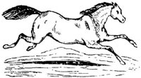 Hdc015c.JPG
