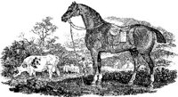 Hdc015b.JPG