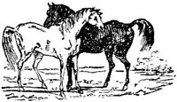 Hdc014c.JPG