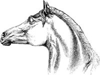 Hdc013h.JPG
